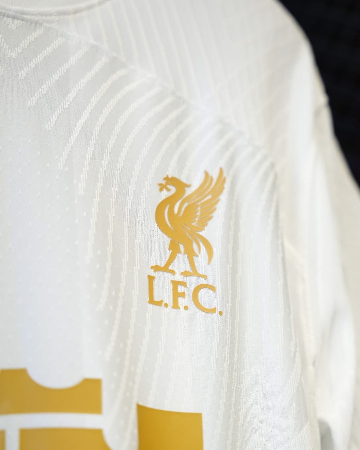 Camisola 23/24 Liverpool x Lebron James