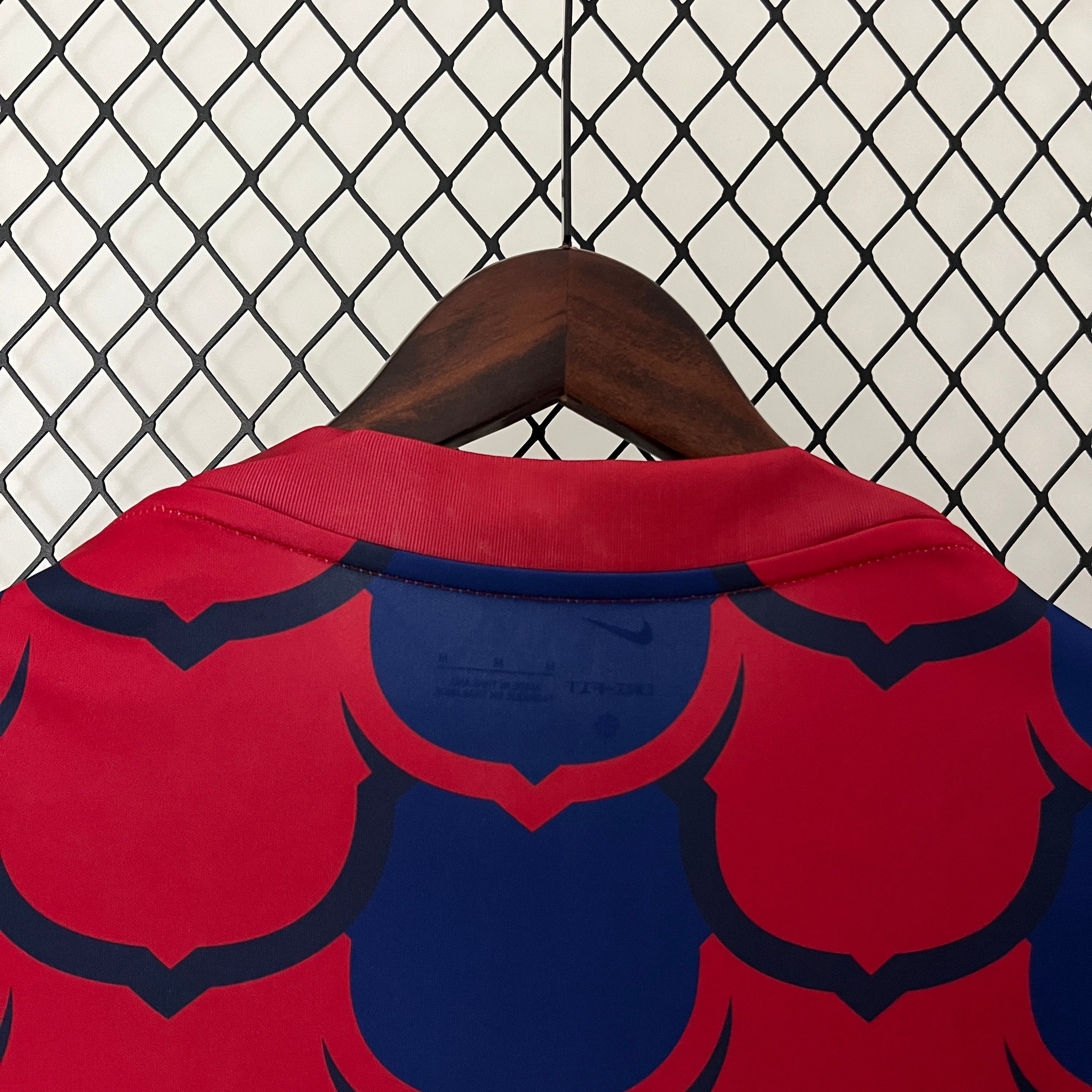 Camisola 24/25 Barcelona Pre-Match