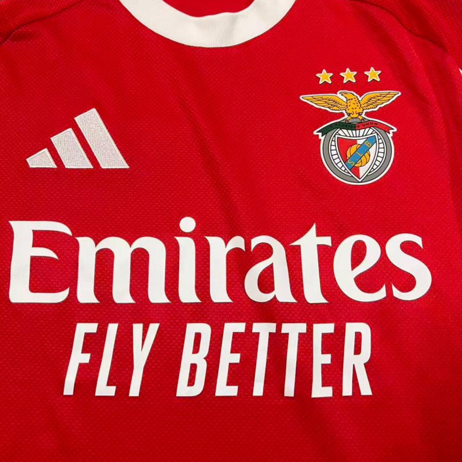 Camisola Principal Benfica 25/26